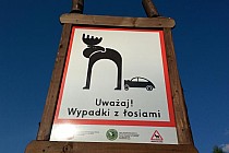 Wypadki