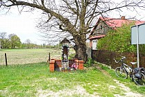 Borów - figura "Chrystusa Frasobliwego" z roku 1878