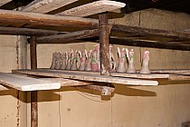 W pracowni pana Jana