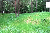 Śródleśne kurhany