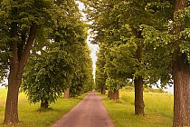 Droga do Chwoszcza zaprasza do jazdy