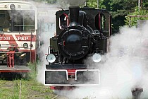 Stacja kolejki wąskotorowej w Rudach