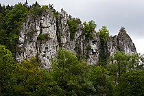 Krajobraz z pierwszego dnia