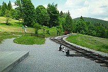 Tanecnik stacja kolej wąskotorowej