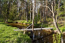 Kładka na Czarnej Tarasce