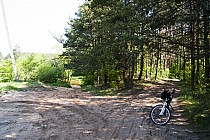 Miejscami takie piachy