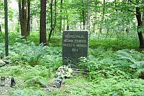 Salomin cmentarz pierwszowojenny