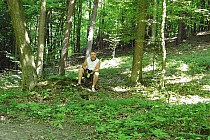 Las okolice Księżomierza i Ludmiłówki