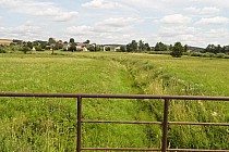 Chrzanów - niestety susza!