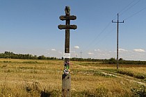 Między Krzemieniem ,a Dzwolą w polach