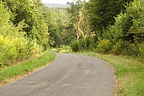 Góra  Brusno , dla mnie to bylo Tour de France