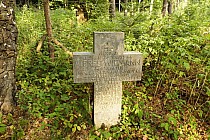 Krzyż Wittmanna  na górze Brusno