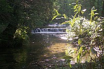 szumy na rzece Tanwi