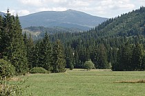 Babia w całej krasie