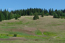 Połoniny pod Pilskiem