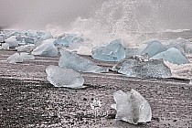 Ocean koło laguny lodowcowej