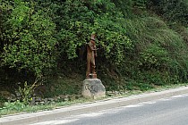 I pomnik chrząszcza