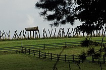 Instalacja w RPN - Procesja