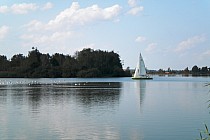 Jezioro Kunickie koło Legnicy