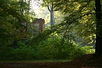 Ruiny Herbaciarni w Pokoju