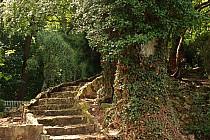 Ogród botaniczny w Zagwiździu