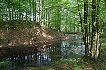 Średniowieczne Grodzisko w Murowie