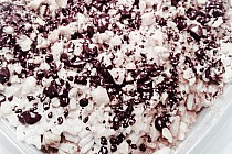 Przygotowana porcja ryżu z jabłkami