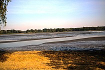 Stawyy milickie dotknięte suszą, ale i tak piękne