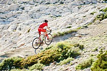 Rower przełajowy Kreidler Cross Carbon 03 (mat. pras.)