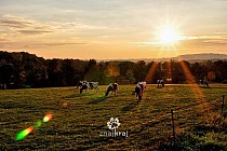 Beskid Śląski przed zmierzchem