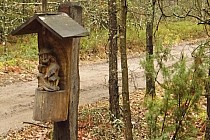 Na rozstaju dróg Gwizdów