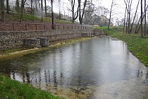 Źródlisko w Dąbiu