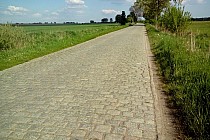 Ta cholerna wąsoska kostka