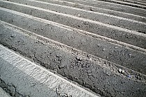 Gdzieś na trasie- kto zgadnie co to?