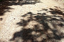 To właśnie nawierzchnia fragmentu gruntowego Rawickiej Drogi