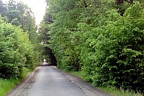 Okolice Czarnego Lasu