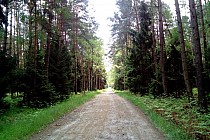 Gruntówka w pełnej krasie