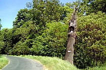 Przeoryginalna kapliczka przed miejscowością Kawcze