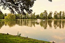 Stawy miejskie w Oleśnicy