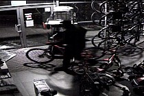 Włamanie do siedziby firmy Taurus - monitoring 03