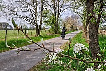 Wiosna w Brandenburgii