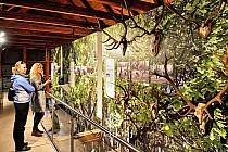 W muzeum w Gross Schoenebeck