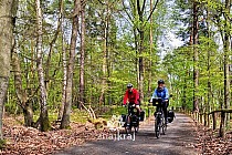 Na rowerowym szlaku w Niemczech