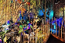 Zaczarowana Chata w Rudach