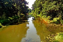 Drugi przejazd nad Baryczą, tym razem już znacznie szerszą po przyjęciu wody od kilku dopływów.