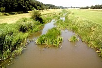 Pierwszy przejazd nad Baryczą, w tym miejscu wąziutką i mocno zarośniętą