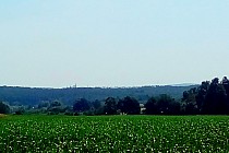 To ostre nad linią drzew to kościół na wzgórzu w Wińsku