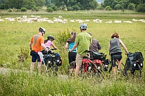 Ilość rowerzystów w Niemczech przyprawia o ból głowy...
