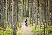 Najciekawsze miejsce na Jurze - Sokole Góry!