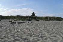 Główna plaża w Helu